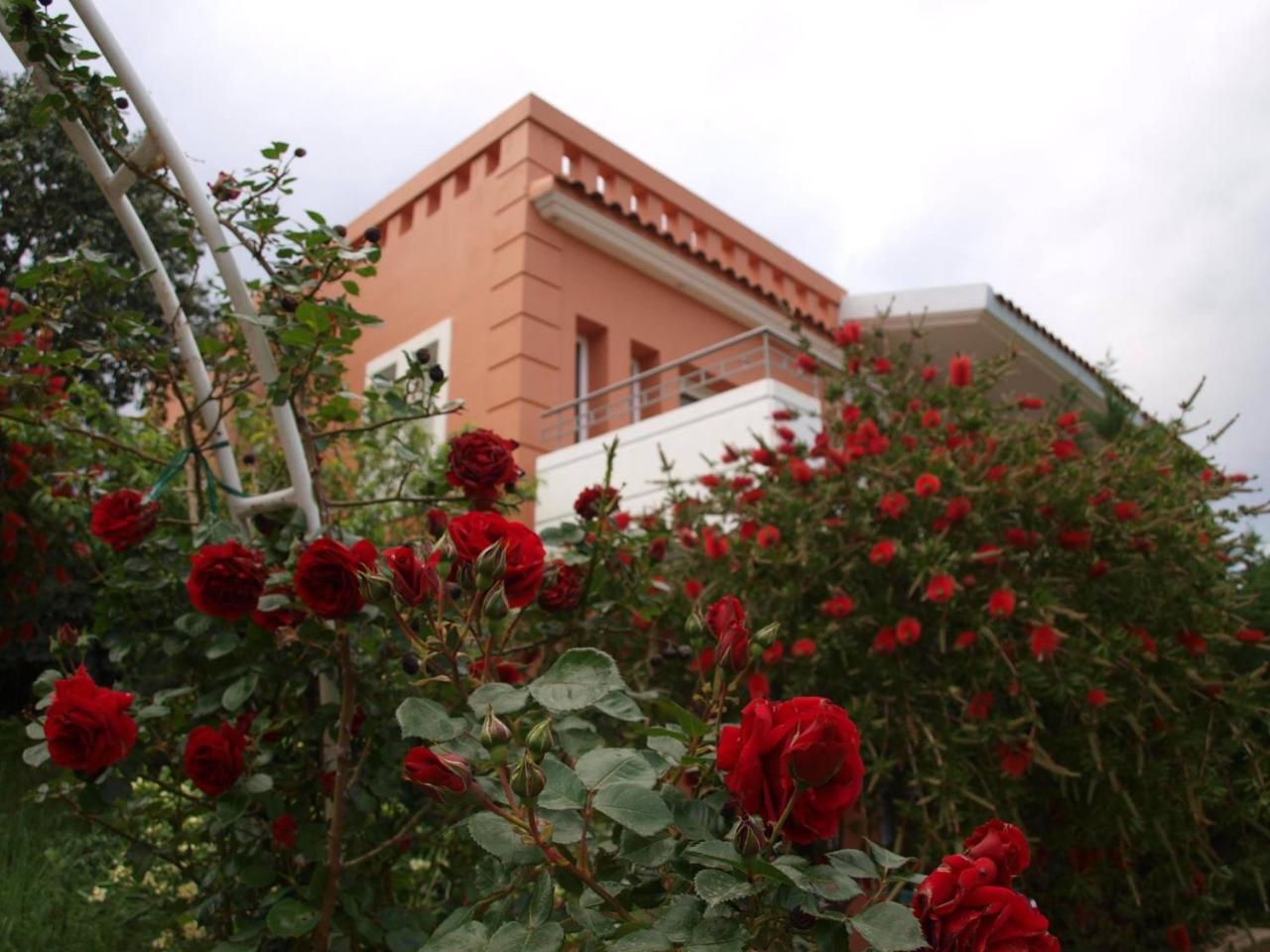Paleros Thalassa Hotel & Spa מראה חיצוני תמונה